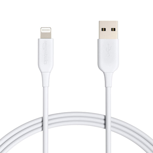 iPhone Charger